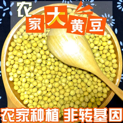 东北黄豆新豆400gx5袋农家自种小黄豆黑龙江笨大豆发豆芽打豆浆用虎窝淘