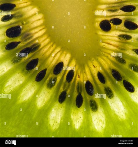 A Close Up Of The Seeds Within A Kiwi Fruit Stock Photo Alamy