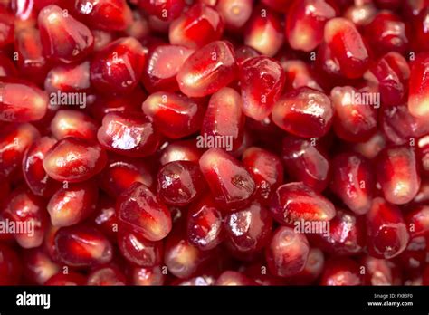 Backdrop From Fresh Pomegranate Seeds Close Up Stock Photo Alamy