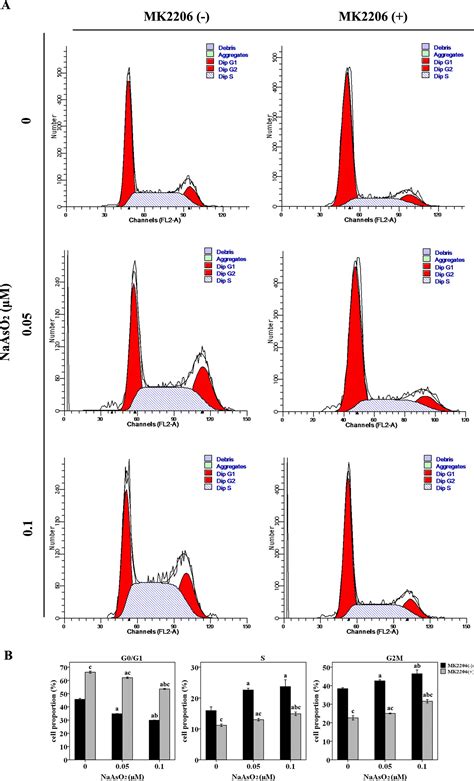 Frontiers Akt Regulated Phosphorylation Of Gsk 3βcyclin D1 P21 And