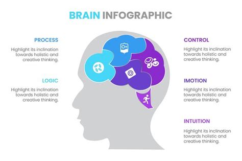 Premium Vector Scientific Medical Illustration Of Human Brain Stroke