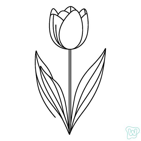 56 Tulipas para Colorir - Baixar e Imprimir PDF