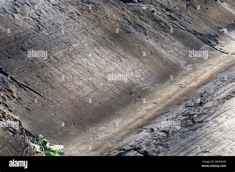 Ancient Rock Engraving In Camonica Valley Naquane National Park