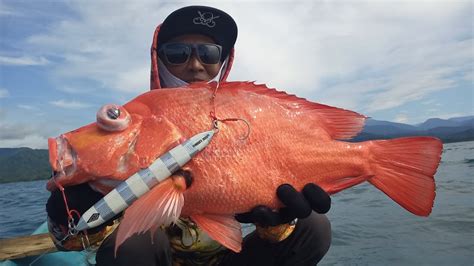 Dengan Slow Jigging Technique ️untuk Mancing Kakap Merah Dan Amberjack