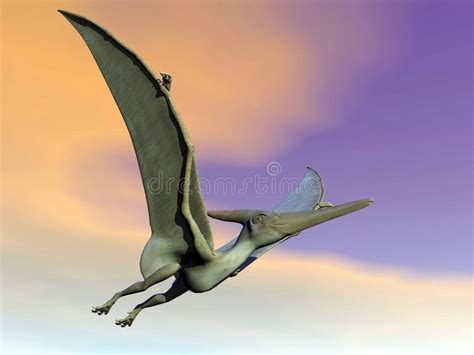 Pteranodon Stock Illustration Illustration Of Flying