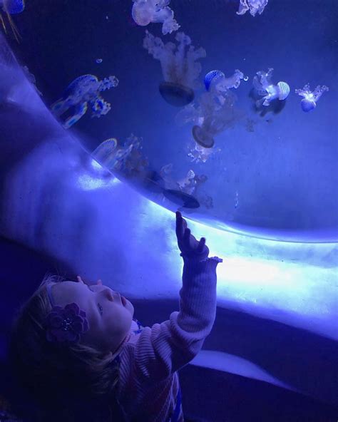 SEA LIFE Centre London Aquarium - Trip with Toddler