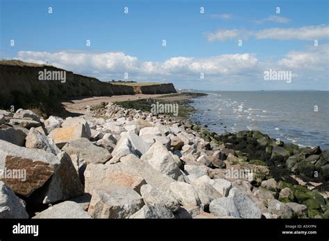 A View Of Reculver Beach Showing The Sea Defences Stock Photo Alamy