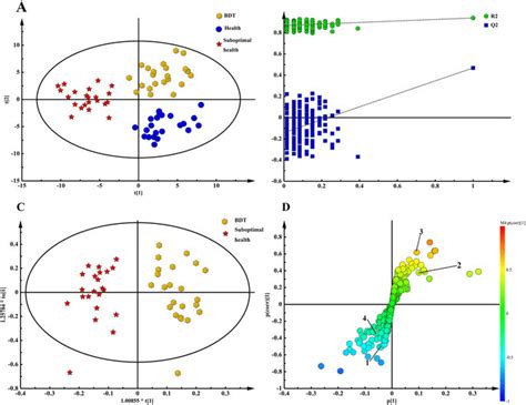 Pattern Recognition With Simca P13 0 The PLS DA Scores Plot Derived