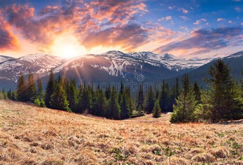 Beautiful Spring Sunrise in Mountains Stock Photo - Image of panorama ...