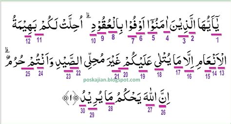 Tajwid Surat Al Maidah Ayat 48