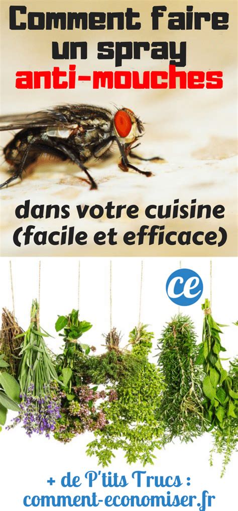 Comment Fabriquer Un Spray Anti Mouches Dans Votre Cuisine Facile Et