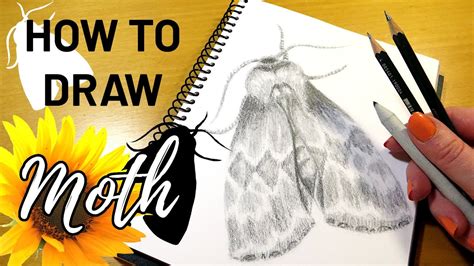 Realistic Moth Pencil Drawing Tutorial Youtube