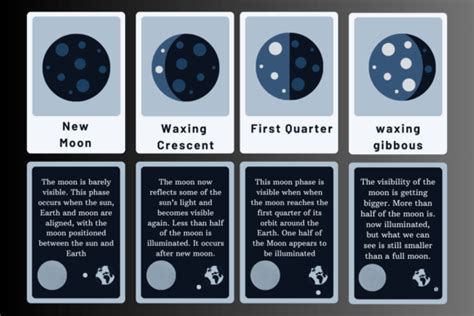 Moon Cycle Flashcards Designs Graphics