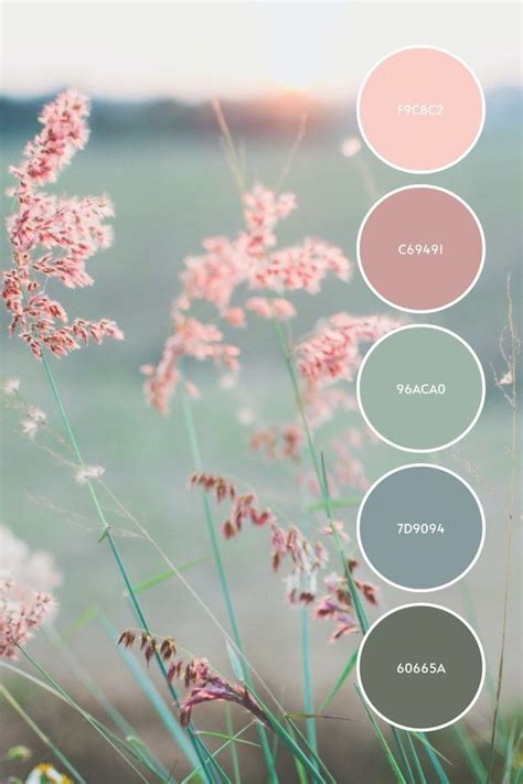 Pin By Elissa Riggleman On Color Palettes Color Design Inspiration