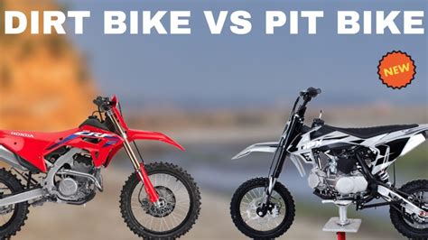 Pit Bike Vs Dirt Bike How To Choose The Right One For You Pitster Pro