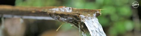 Bamboo Drip Irrigation A Marvel To Meghalayas Native Farmers