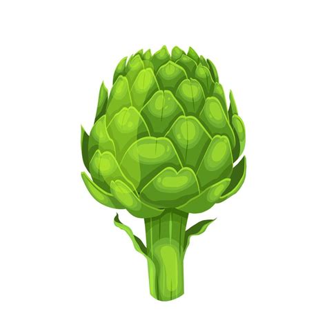 Artichoke Fresh Cartoon Vector Illustration 17420951 Vector Art At Vecteezy