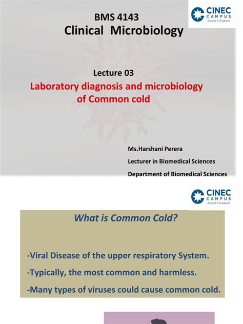 Common Cold | PDF | Common Cold | Infection