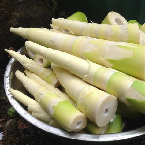 masakan rebung  tidak berbau ikuti  tips mudah