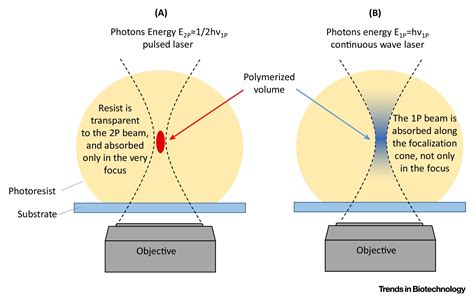 Studying Cell Mechanobiology In D The Two Photon Lithography Approach