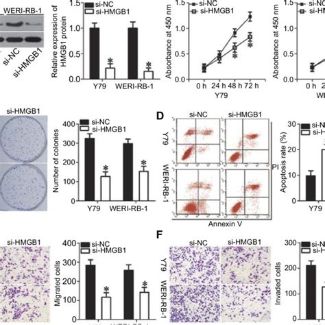 Silencing Of HMGB1 Expression Inhibited RB Cell Proliferation Colony