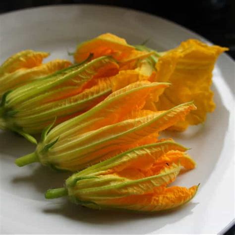 Examples Of Vegetables That Are Technical Flowers