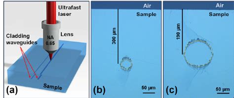 A The Schematic Of The Experimental Setup For Femtosecond Laser Download Scientific Diagram