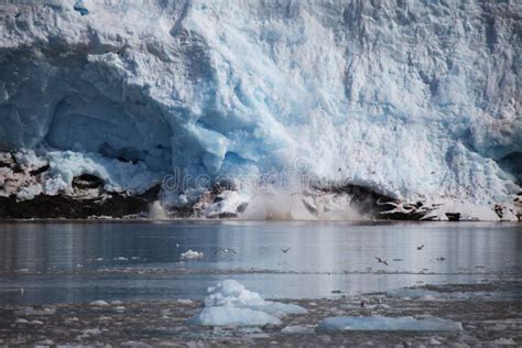 Ghiaccio Blu E Piccoli Iceberg Parte Anteriore Del Ghiacciaio Nelle