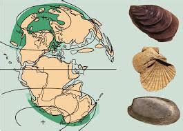 Paleobiogeografia EcuRed