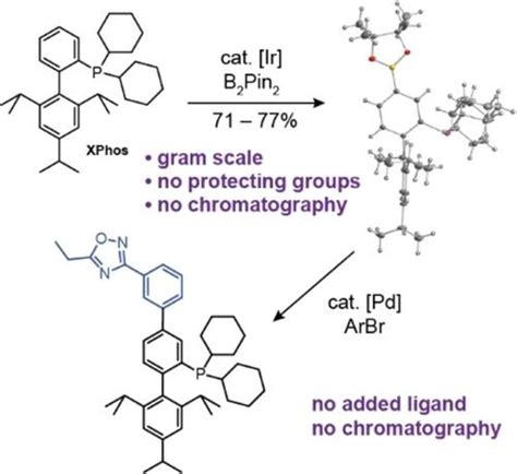 Sterically Controlled Late Stage Functionalization Of Bulky Phosphines Chemistry A European