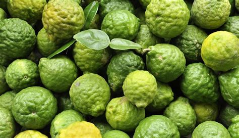 Bergamot Oranges Agronomag