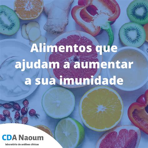 Alimentos Que Ajudam A Aumentar Sua Imunidade