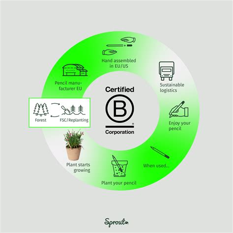 B-corp - what it means - Sprout World