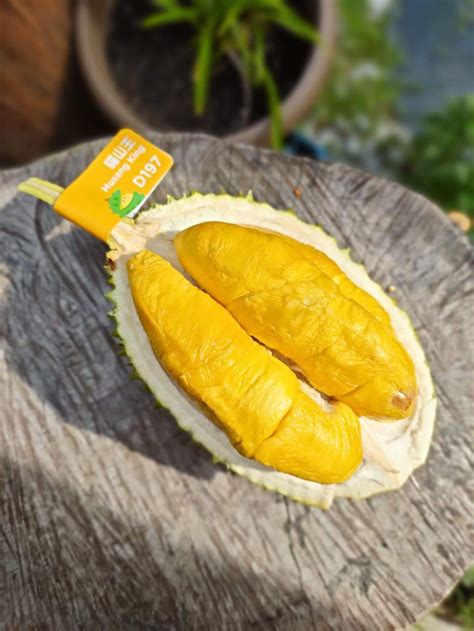 D Musang King G Durianbb Malaysia