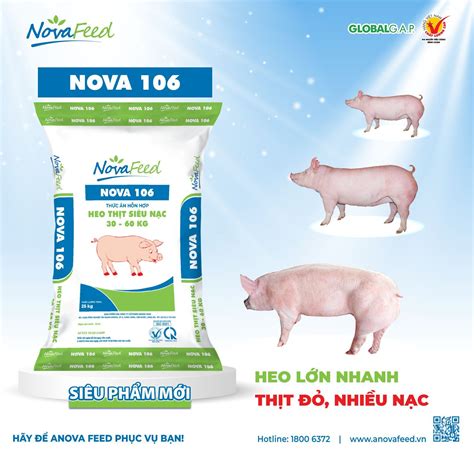 A15 S CHO HEO THỊT SIÊU NẠC 15 30KG ANOVA FEED Nhà cung cấp thức ăn