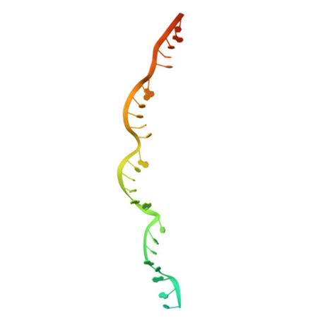 Rcsb Pdb Mus Cryo Em Structure Of Larger Csm Crrna Target Rna