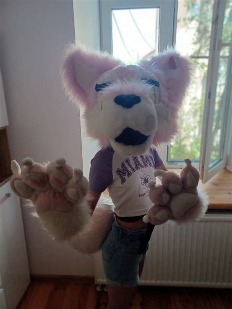 Okazja Pi Kna Furry Fursuit Head Apy I Ogon Wadowice Kup Teraz