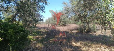 Terreno Venda Em Arez E Amieira Do Tejo Supercasa