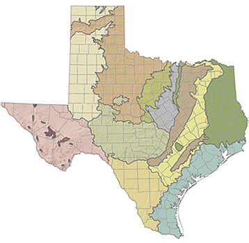 Texas A&M Forest Service - Trees of Texas - Ecoregions