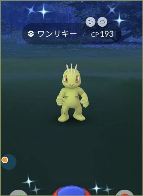 【今年7体目の色違い、ワンリキー】 ポケモンgoを呟く