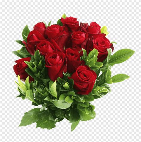 Rosas Buqu De Rosa Vermelha Png Pngegg