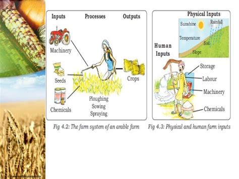 Geography Viii Lesson 4 Agriculture Lesson Notes Sst And History Notes Xi Xii