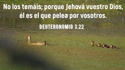 Meditciones Cristianas Dios Pelea Por Nosotros YouTube