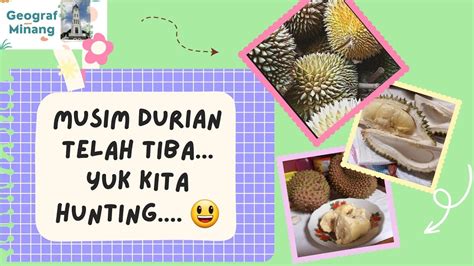 Musim Durian Telah Tiba Hunting Durian Yuk Youtube