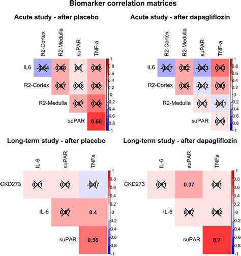 Frontiers Acute And Long Term Treatment With Dapagliflozin And