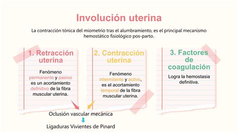 Puerperio Fisiol Gico Y Patol Gico Definici N Y Clasificaci N Ppt