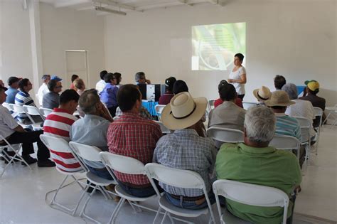 Capacitación Productores Coopecañera Ingenio Costa Rica Coopecañera R L