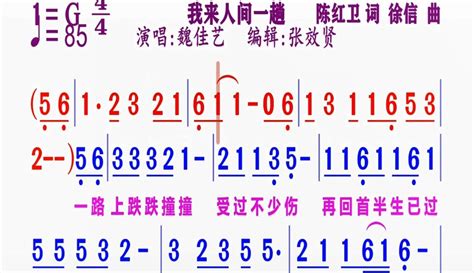 【张效贤爱音乐】魏佳艺演唱的《我来人间一趟》动态简谱 2万粉丝7千作品热议中音乐视频 免费在线观看 爱奇艺