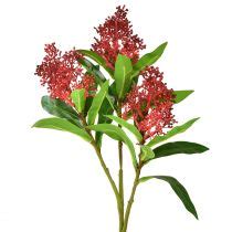 Floristik Ch K Nstliche Blumen Rot Skimmia Japonica Skimmie Cm St