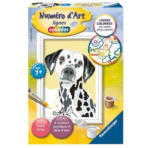 Numéro d Art lignes colorées Dalmatien Ravensburger BCD